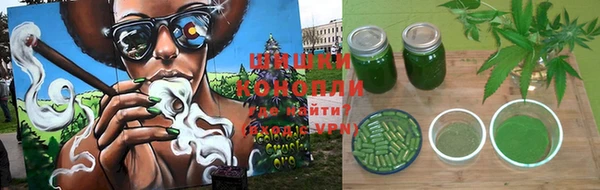 стаф Алексеевка
