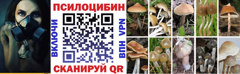 Псилоцибиновые грибы Magic Shrooms  купить наркоту  Асбест 